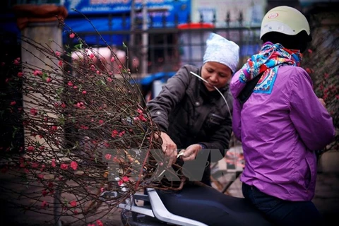 El Calendario Lunar guía la vida vietnamita