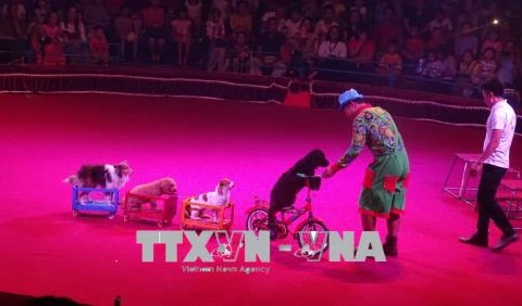 Efectúan en Vietnam primera Gala Internacional de Circo