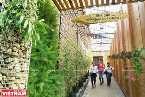 Green Box, nuevo modelo de agroturismo en Da Lat