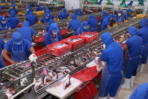 Exportaciones de productos acuícolas vietnamitas prevén perspectivas positivas en 2018