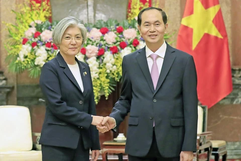 Vietnam aprecia política hacia el Sur de Sudcorea, afirma presidente Dai Quang 