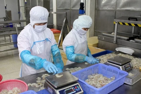 Comisión Europea lista para apoyar a Vietnam en lucha contra la pesca INDNR