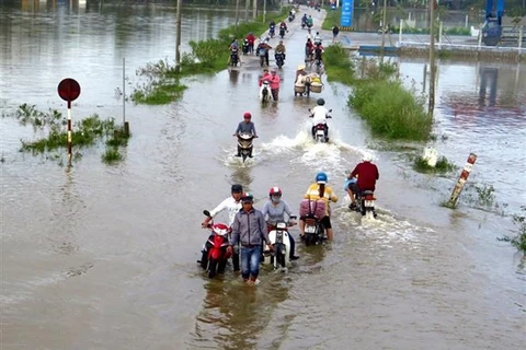 UNDP y Japón promueven ensayo contra desastres naturales en escuela vietnamita 
