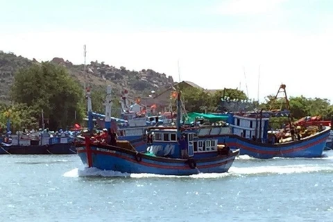 Sociedad de Pesca de Vietnam se opone a la veda china en Mar del Este