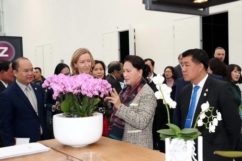 Presidenta parlamentaria de Vietnam indaga agricultura de alta tecnología en Países Bajos