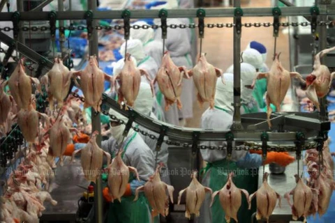 China permite la importación de carne de pollo de Tailandia