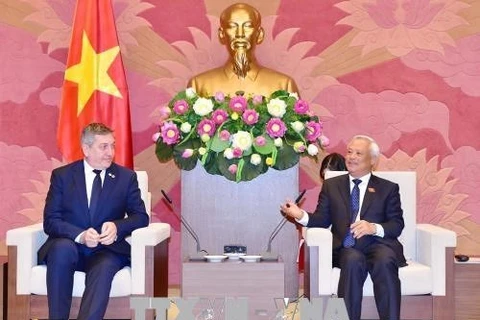 Piden a grupos parlamentarios de amistad reforzar nexos Vietnam-Rumania