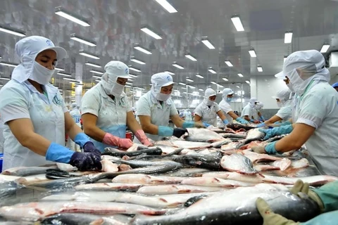 Pescados Tra de Vietnam cumplen difíciles demandas de Estados Unidos