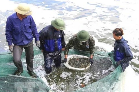 Provincia vietnamita actúa contra la pesca ilegal como respuesta a advertencia de la UE