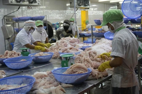 Sector de pescado Tra de Vietnam amplía exportaciones al mercado chino
