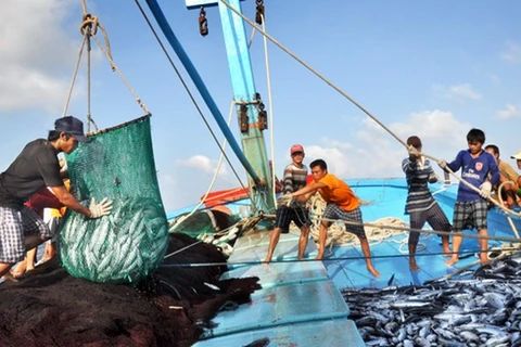 Barcos pesqueros de Vietnam laboran apegados a la ley desde principios de año 