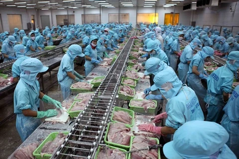 Aumentan exportaciones de pescado Tra vietnamita a China