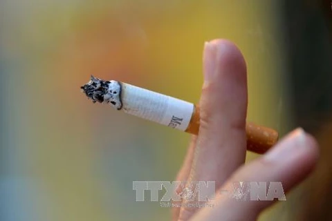 Alertan en Vietnam sobre consecuencias negativas del tabaquismo