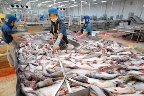 Piel de pescado, producto prometedor para exportación en Vietnam