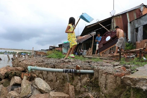 Países asiáticos y europeos comparten en Vietnam experiencias para enfrentar cambio climático 