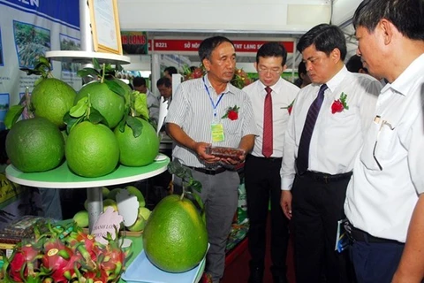 Inauguran en Ciudad Ho Chi Minh feria sobre variedades de plantas y tecnologías agrícolas