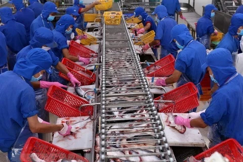 VASEP urge a productores a controlar calidad de pescado Tra exportados a China