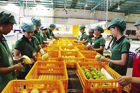 Nueva política de Corea del Sur dificulta a productos agrícolas vietnamitas