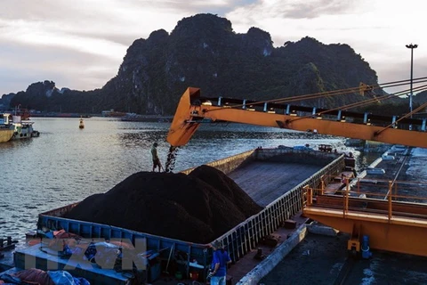 Grupo del Carbón de Vietnam se propone vender 39 millones de toneladas este año 