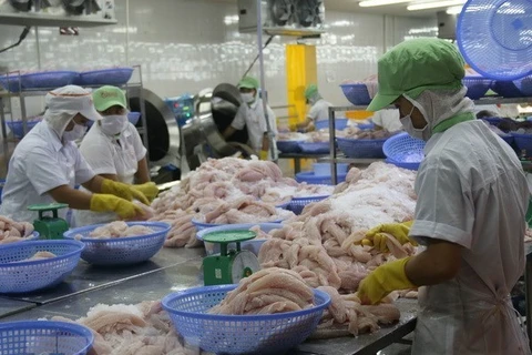 Exportación vietnamita de pescado Tra a la UE muestra signos de recuperación