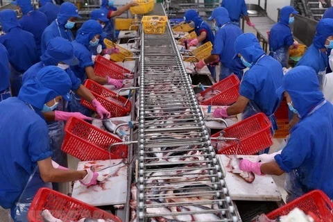 Crecen exportaciones de pescado Tra vietnamita a EE.UU. 