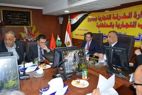 Vietnam y Egipto aspiran fomentar la cooperación multifacética durante visita del presidente Tran Dai Quang