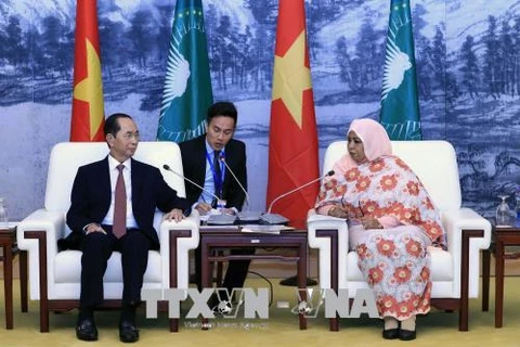 Vietnam concede importancia al fomento de nexos con África, afirma presidente