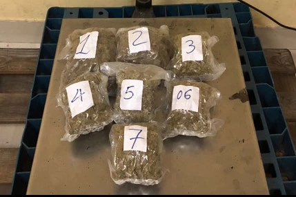 Incautan 57 kilogramos de metanfetamina traslada a través del aeropuerto Tan Son Nhat