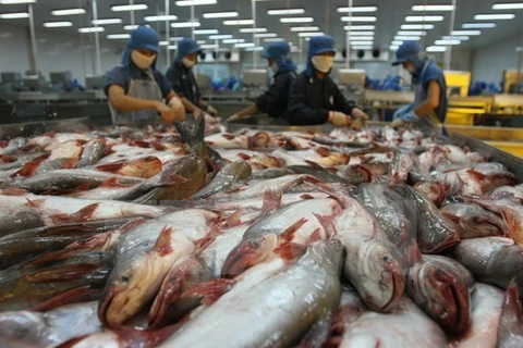 Exportaciones acuícolas vietnamitas enfrentan dificultades para cumplir objetivo trazado este año
