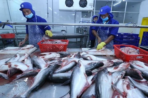 EE.UU. reconoce estándares de calidad de pescados sin escamas de Vietnam 