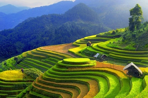 Celebrarán semana cultural y festival de terrazas de arroz en provincia vietnamita