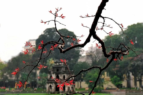Maratón internacional promocionará patrimonios culturales de Hanoi 