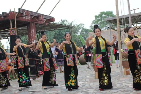 Actividades culturales de grupos étnicos resaltarán la gran unidad de Vietnam