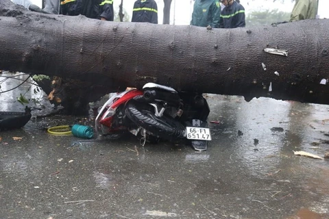 Tifón Usagi azota el Sur de Vietnam y deja un fallecido y grandes pérdidas materiales 
