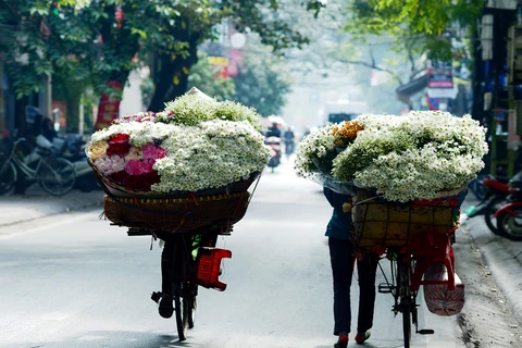 Hanoi: romántica ciudad de las margaritas 