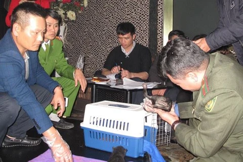 Vietnam rescata a dos ositos tibetanos de contrabando