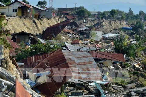 Establecerán en Indonesia estaciones de alerta de tsunami 