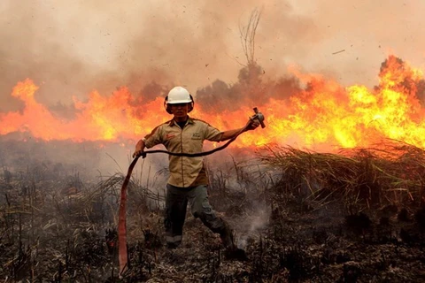 Alto riesgo de incendios forestales en Indonesia