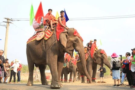 Celebran en Vietnam competencias de elefantes durante Festival de Café de Buon Ma Thuot