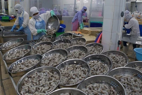 Proyecta Vietnam ingresar más de cuatro mil millones de dólares por la exportación de camarones