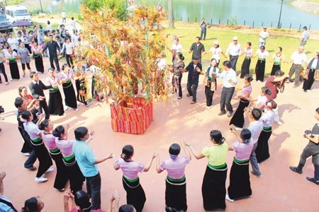 Presentará Vietnam expedientes a la UNESCO para reconocimiento de Patrimonios Culturales Intangibles