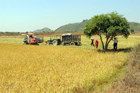 Construyen en Vietnam embalses para enfrentar sequía en provincia de Lam Dong 