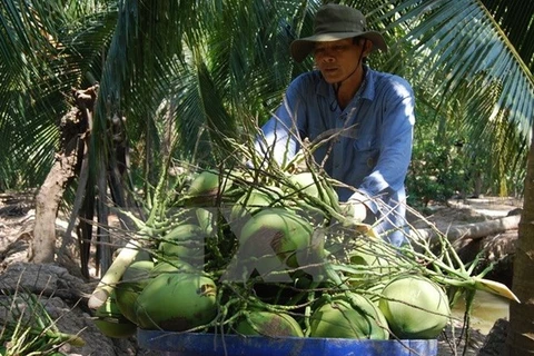  Registra provincia vietnamita de Ben Tre altos ingresos por exportaciones
