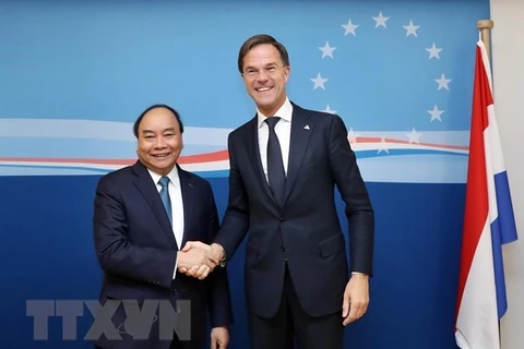 Planean Vietnam y Países Bajos establecer asociación integral