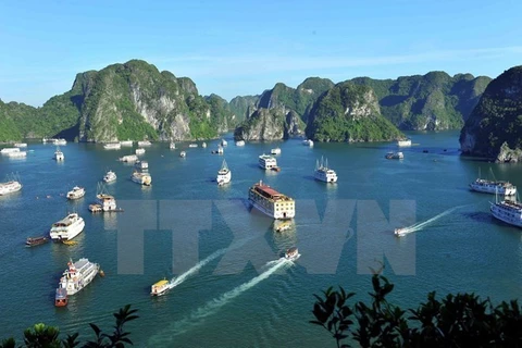 Consideran la bahía Ha Long de Vietnam entre las 25 maravillas naturales más bellas del mundo