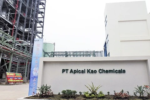 Construye empresa japonesa nueva fábrica de ácidos grasos en Indonesia