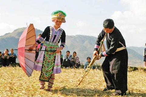 Preservan y promueven en Vietnam valores culturales de la etnia H´mong 