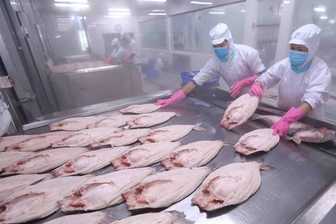 Prevén en Vietnam crecimiento del ocho por ciento en exportación de productos acuícolas 