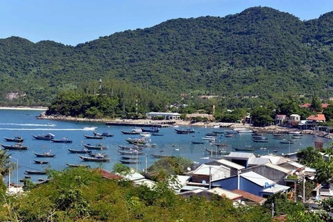 Gozan turistas de entrada gratuita por aniversario de reconocimiento a Cu Lao Cham como bioreserva mundial 