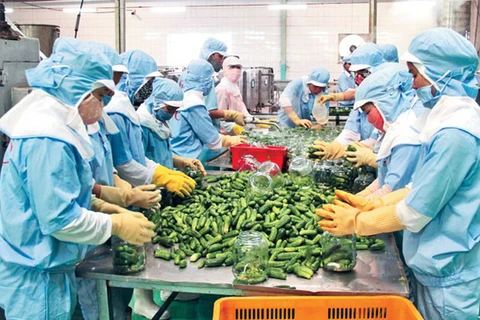Vietnam ingresa 3,62 mil millones de dólares por ventas de productos agrícolas en mayo